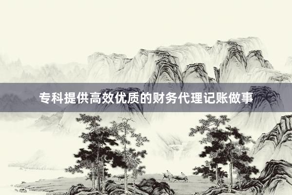 专科提供高效优质的财务代理记账做事